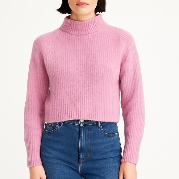 Everlane Sweaters - Everlane alpaca mock neck cozy ribbed sweater XS pink